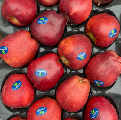 Große rote Äpfel aus Vermio pro 1 Kilo - De Smaken van Griekenland