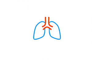 Lungs Reanimation Manikin