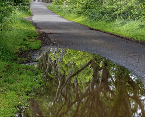 Fotoreis Noord-Ierland - ©Pauline de Blocq van Scheltinga