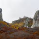 fotoreis Herfst in Auvergne - ©Aart Blom