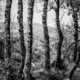 Fotoreis Glencoe - Schotland - ©Corine van Kuilenburg