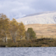 Fotoreis Glencoe - Schotland - ©Peter Bergen Henegouwen