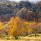 fotoreis Herfst in Auvergne - ©Aart Blom