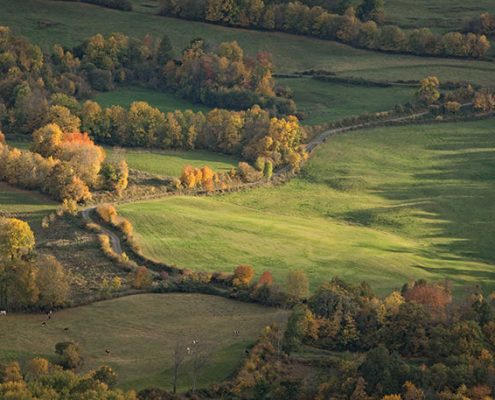 fotoreis Herfst in Auvergne - ©Albertine Boere