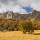fotoreis Herfst in Auvergne - ©Emiel Maigoda