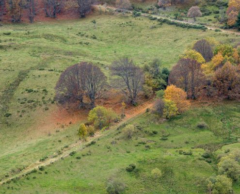fotoreis Herfst in Auvergne - ©Paul Boyden