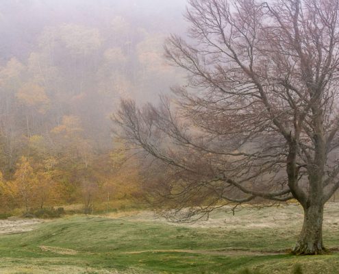 fotoreis Herfst in Auvergne - ©Paul Boyden
