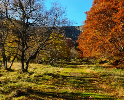 fotoreis Herfst in Auvergne - ©Fons Trommelen