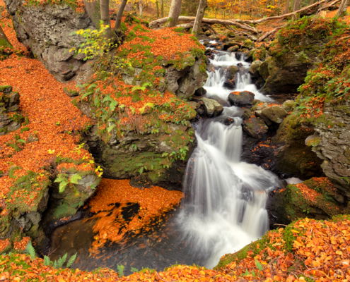 Fotoreis Auvergne - Frankrijk - ©Kristel Schneider