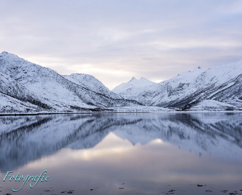 Fotoreis Aurora & Landscape Lofoten - ©Marie-Jose Schellekens