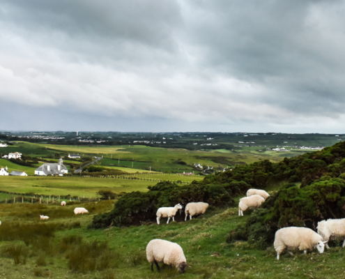 Fotoreis Noord-Ierland - ©Janine Diekmeijer