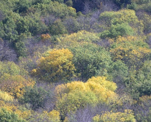 fotoreis Herfst in Auvergne - ©Ann Cornelis