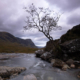Fotoreis Glencoe - Schotland - ©Dineke Blom