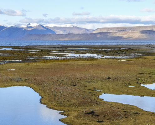 fotoreis Westfjorden - IJsland - ©Edith Commissaris