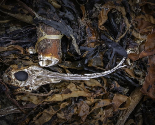 Fotoreis Noord-Ierland - ©Ben Schuring