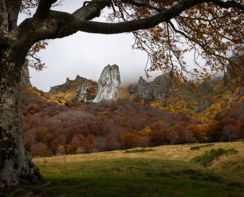 fotoreis Herfst in Auvergne - ©Richard Paas
