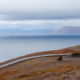 fotoreis Westfjorden - IJsland - ©Karin Bosga