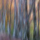 fotoreis Herfst in Auvergne - ©Lucie Kapitein
