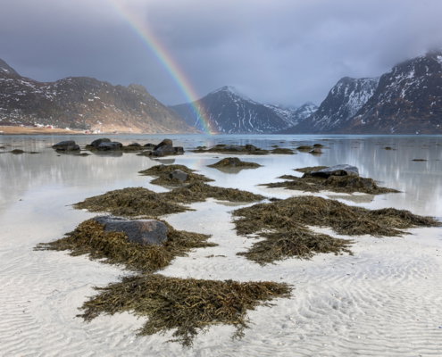 fotoreis Lofoten Fine Art Noorwegen - ©Tromp Willem van Urk