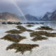 fotoreis Lofoten Fine Art Noorwegen - ©Tromp Willem van Urk