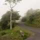 fotoreis Noord-Ierland - ©Wouter Storteboom