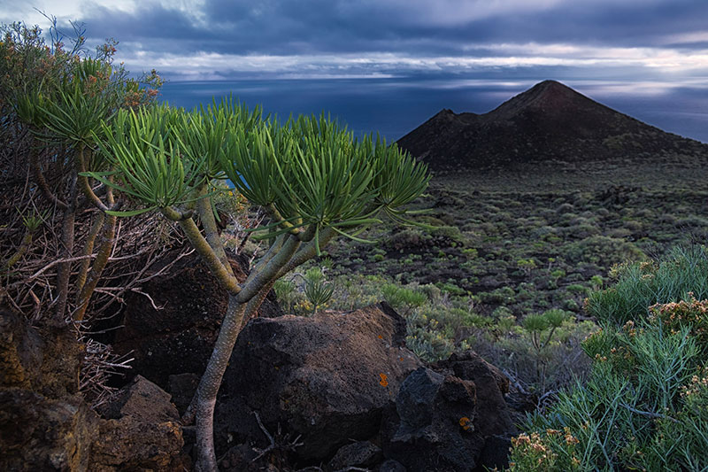 La Palma - ©Charles Borsboom