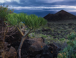 La Palma - fotoreis - ©Charles Borsboom