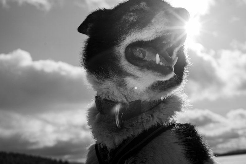 Masterclass Noord-Finland - ©Jeroen Toirkens