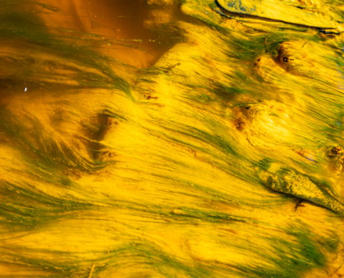 Fotoreis Rio Tinto - Spanje - ©Jose Gieskes
