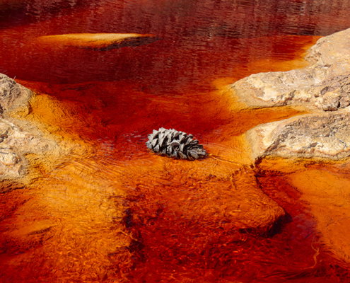 Fotoreis Rio Tinto - Spanje - ©Marjo Snellenburg