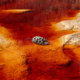 Fotoreis Rio Tinto - Spanje - ©Marjo Snellenburg