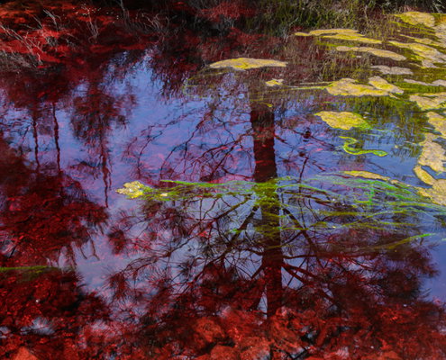 Fotoreis Rio Tinto - Spanje - ©Marjo Snellenburg