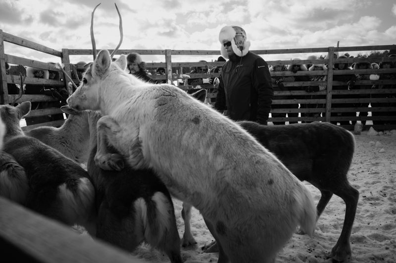 Masterclass Noord-Finland - ©Jeroen Toirkens
