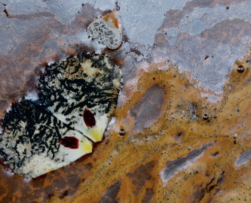 Fotoreis Rio Tinto - Spanje - ©Kim Kui