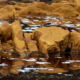 Fotoreis Rio Tinto - Spanje - ©Margreet Verbeek
