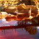 Fotoreis Rio Tinto - Spanje - ©Heidy Goyens