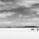 Masterclass Beeldverhaal Finland - ©Ruud Ubink