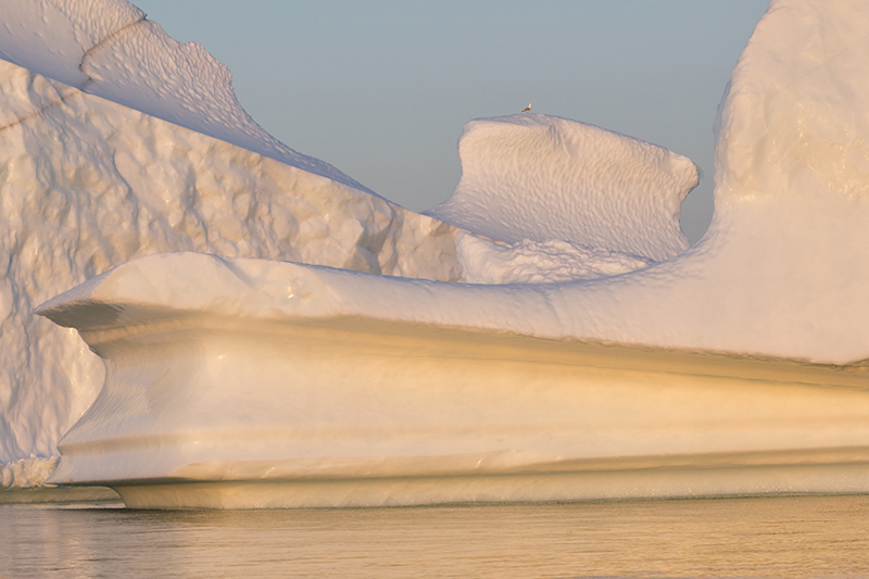 Newfoundland - ijsbergen - Canada ©Kristel Schneider