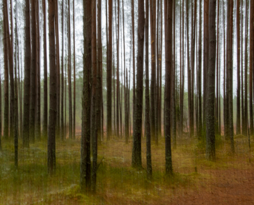 Fotoreis Estland - ©Aart Blom