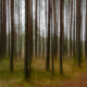 Fotoreis Estland - ©Aart Blom