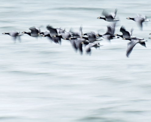 Fotoreis Estland - ©Carla Custers