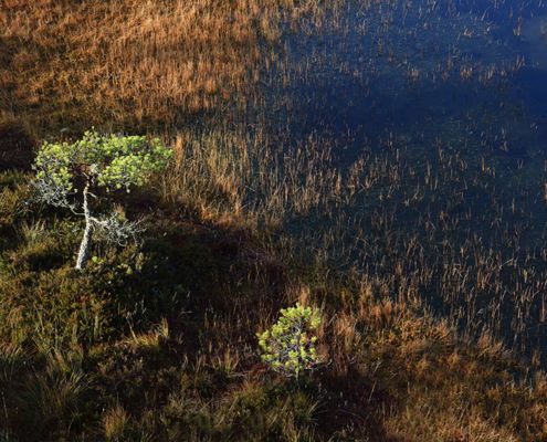 Fotoreis Estland - ©Carla Custers