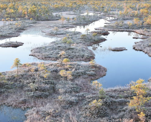 Fotoreis Estland - ©Carla Custers