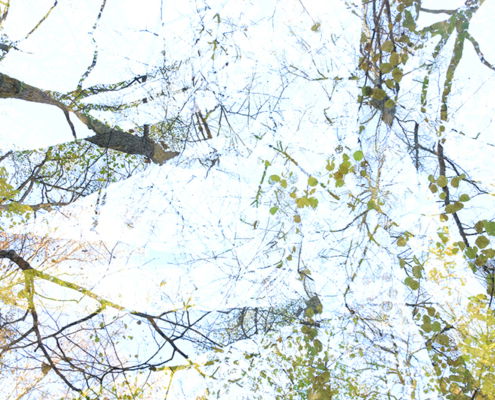 Fotoreis Estland - ©Carla Custers