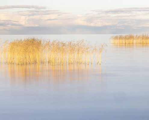 Fotoreis Estland - ©Annette Arriens