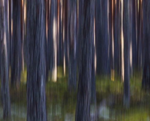 Fotoreis Estland - ©Annette Arriens