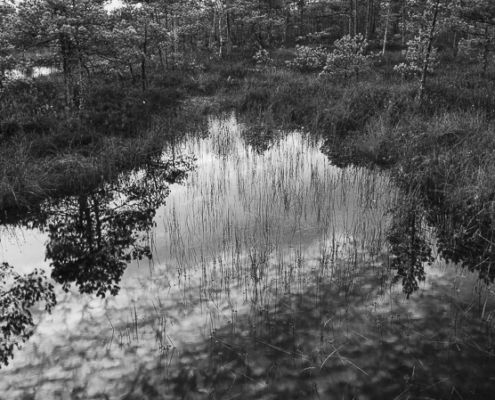 Fotoreis Estland - ©Annette Arriens