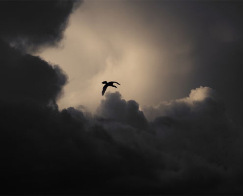 Fotoreis Estland - ©Marcel Batist