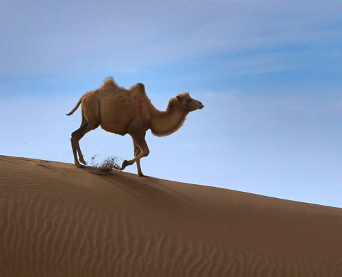 Fotoreis China, langs het Tibetaans plateau - ©Charles Borsboom