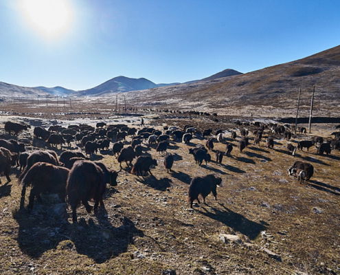 Fotoreis China, langs het Tibetaans plateau - ©Charles Borsboom